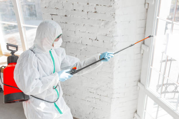 Best Biohazard Mold Removal  in La Palma, CA