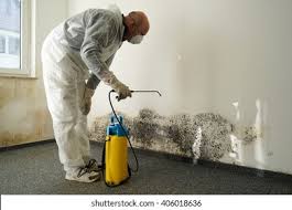 Best Residential Mold Inspection & Testing  in La Palma, CA